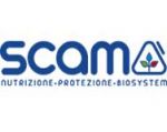 logo Scam
